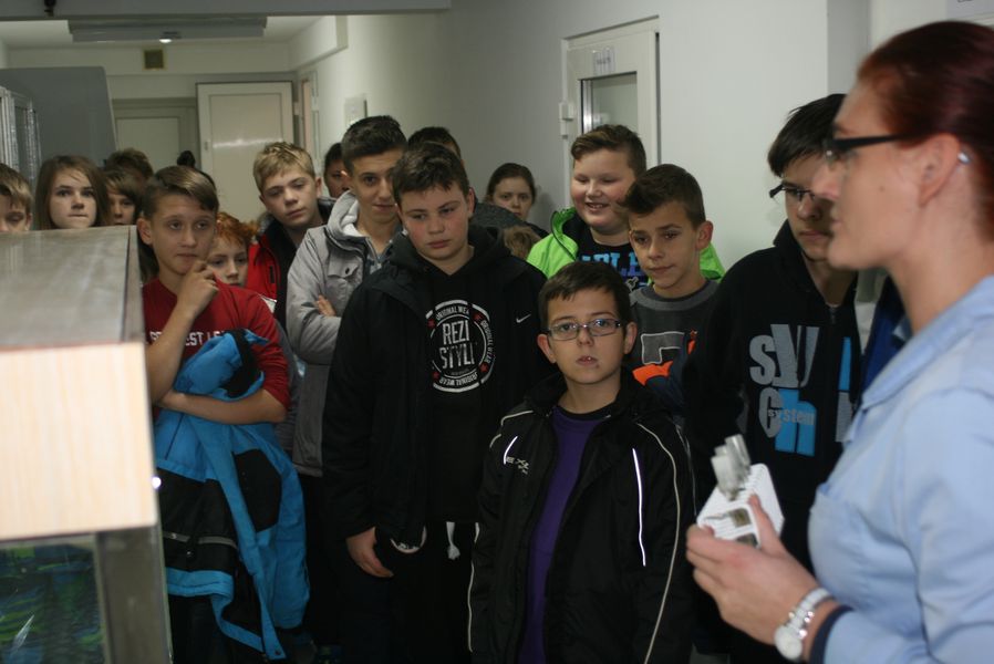 Wyjazd edukacyjny klasy VI Szkoły Podstawowej im. Wisławy Szymborskiej w Konikowie do Pomorsko Mazurskiej Hodowli Ziemniaka w Strzekęcinie Wyjazd edukacyjny klasy VI Szkoły Podstawowej im. Wisławy Szymborskiej w Konikowie do Pomorsko Mazurskiej Hodowli Ziemniaka w Strzekęcinie