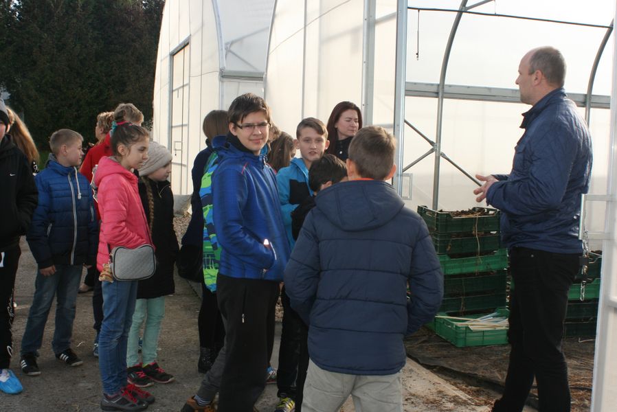 Wyjazd edukacyjny klasy VI Szkoły Podstawowej im. Wisławy Szymborskiej w Konikowie do Pomorsko Mazurskiej Hodowli Ziemniaka w Strzekęcinie Wyjazd edukacyjny klasy VI Szkoły Podstawowej im. Wisławy Szymborskiej w Konikowie do Pomorsko Mazurskiej Hodowli Ziemniaka w Strzekęcinie