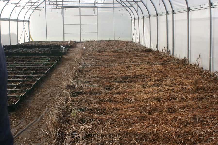 Wyjazd edukacyjny klasy VI Szkoły Podstawowej im. Wisławy Szymborskiej w Konikowie do Pomorsko Mazurskiej Hodowli Ziemniaka w Strzekęcinie Wyjazd edukacyjny klasy VI Szkoły Podstawowej im. Wisławy Szymborskiej w Konikowie do Pomorsko Mazurskiej Hodowli Ziemniaka w Strzekęcinie