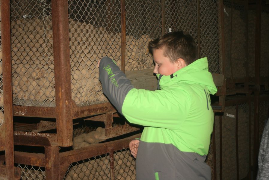 Wyjazd edukacyjny klasy VI Szkoły Podstawowej im. Wisławy Szymborskiej w Konikowie do Pomorsko Mazurskiej Hodowli Ziemniaka w Strzekęcinie Wyjazd edukacyjny klasy VI Szkoły Podstawowej im. Wisławy Szymborskiej w Konikowie do Pomorsko Mazurskiej Hodowli Ziemniaka w Strzekęcinie