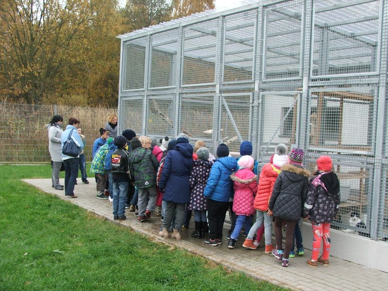 Uczniowie Szkoły Podstawowej w Konikowie pomagają bezdomnym zwierzętom Uczniowie Szkoły Podstawowej w Konikowie pomagają bezdomnym zwierzętom