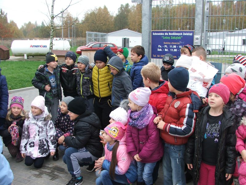 Uczniowie Szkoły Podstawowej w Konikowie pomagają bezdomnym zwierzętom Uczniowie Szkoły Podstawowej w Konikowie pomagają bezdomnym zwierzętom