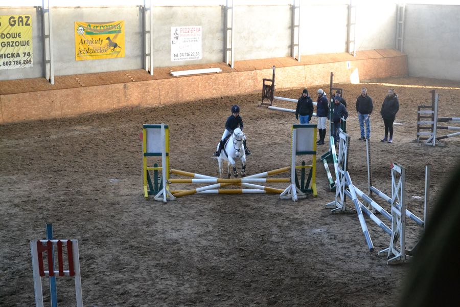 Halowe Towarzyskie Zawody w Skokach przez Przeszkody 