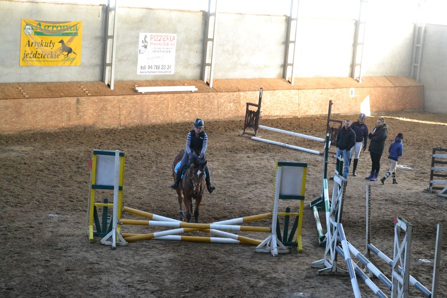 Halowe Towarzyskie Zawody w Skokach przez Przeszkody 