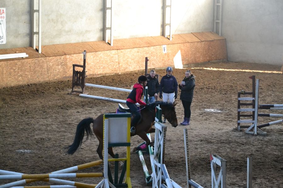 Halowe Towarzyskie Zawody w Skokach przez Przeszkody 