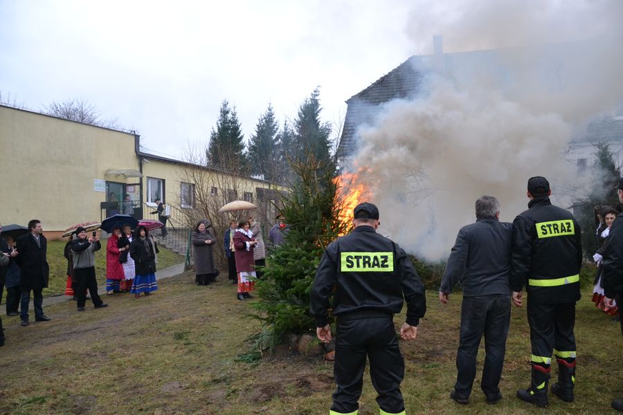 palenie choinek