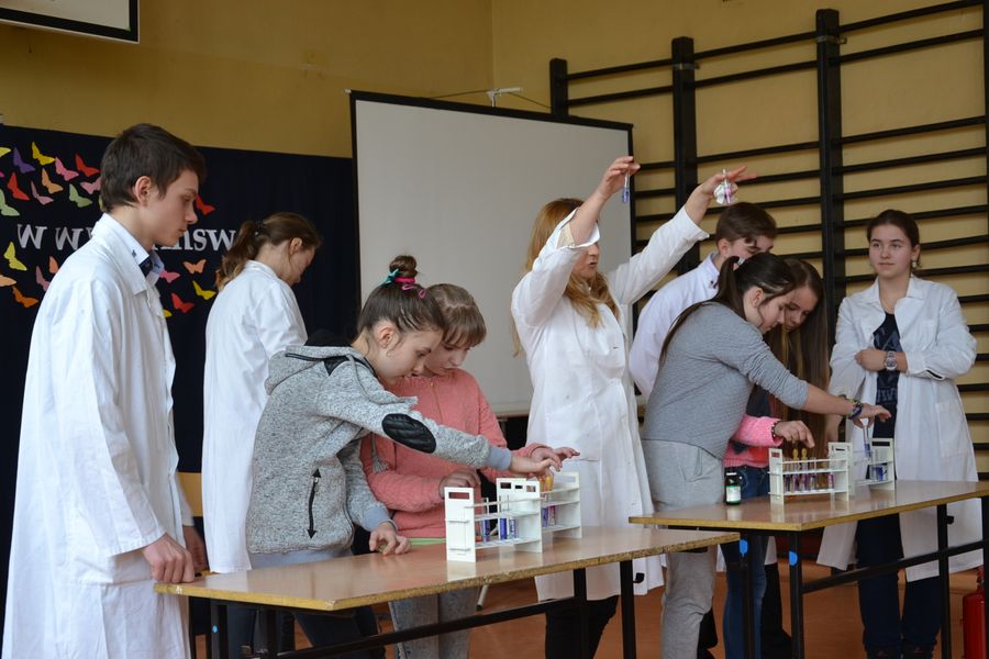 Gimnazjum w Świeszynie Gimnazjum w Świeszynie