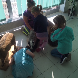 warsztaty ekologiczne