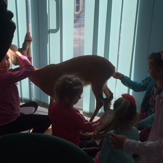 warsztaty ekologiczne