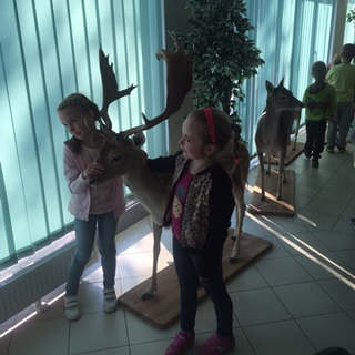 warsztaty ekologiczne