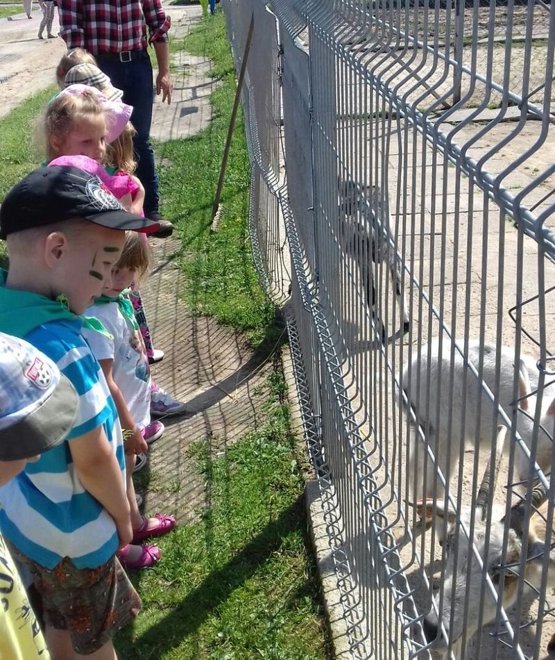 Dzień Dziecka dzień dziecka