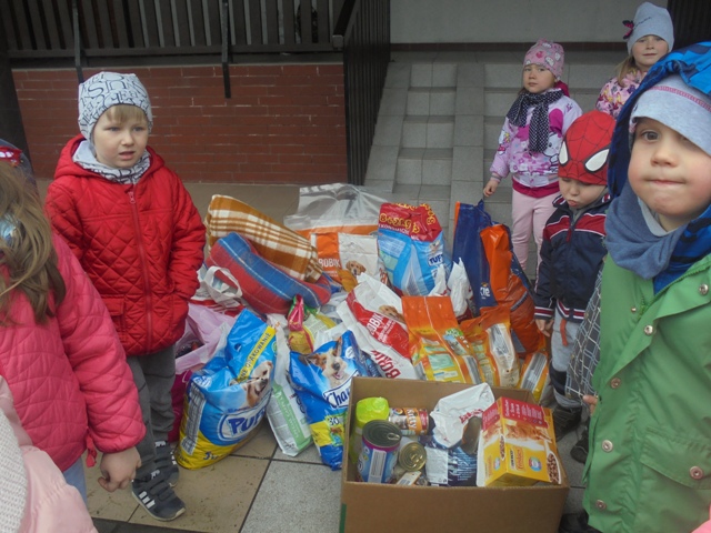 schronisko schronisko