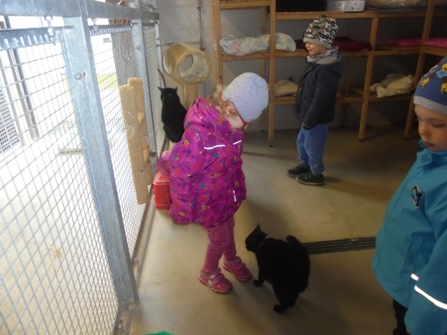 schronisko schronisko