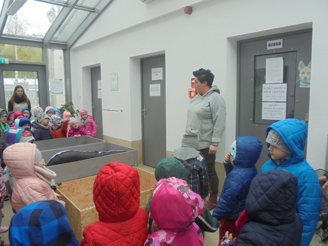 schronisko schronisko