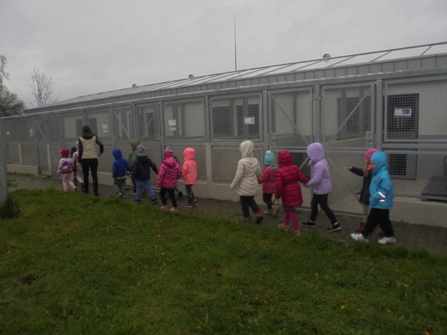 schronisko schronisko