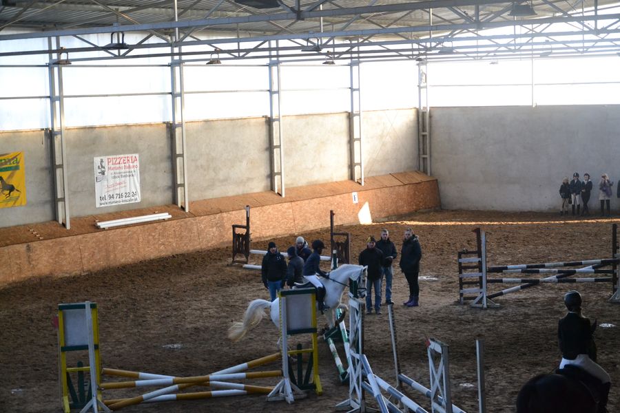 Halowe Towarzyskie Zawody w Skokach przez Przeszkody